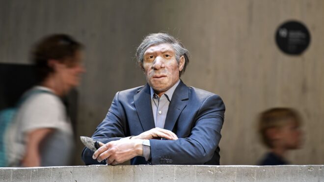 πρωινοί-τύποι-λόγω-γονιδίων-562784035