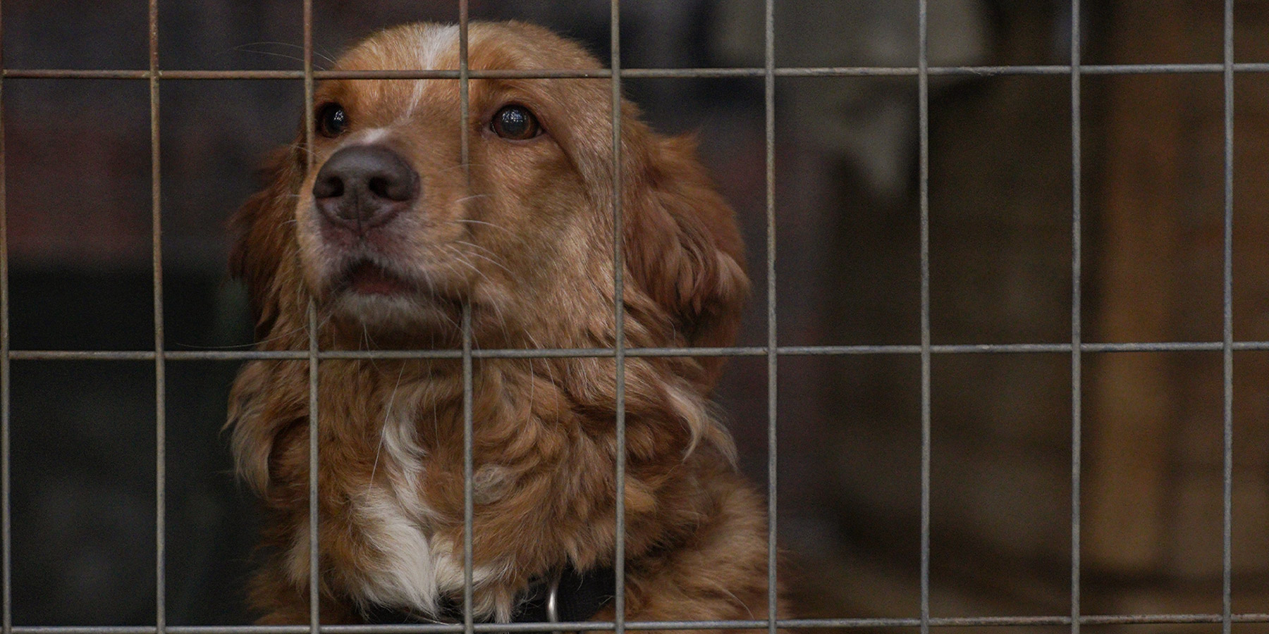 Το efood ενισχύει το μήνυμα της κοινωνικής συμμετοχής και του εθελοντισμού-2