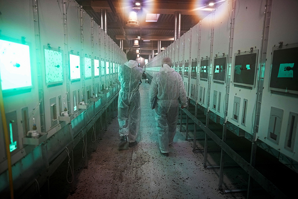 Εμπρός για το πράσινο Παρίσι-2