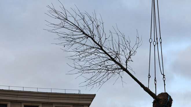 εμπρός-για-το-πράσινο-παρίσι-562768330