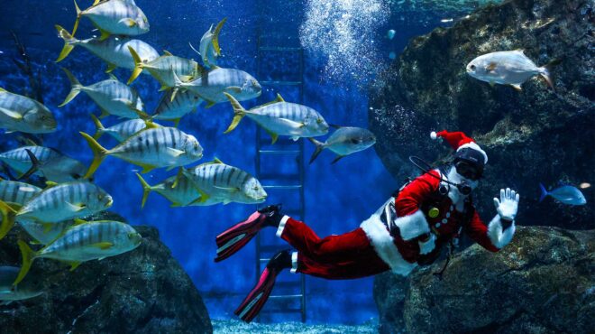 τα-πιο-αλλόκοτα-έθιμα-των-χριστουγένν-562795426