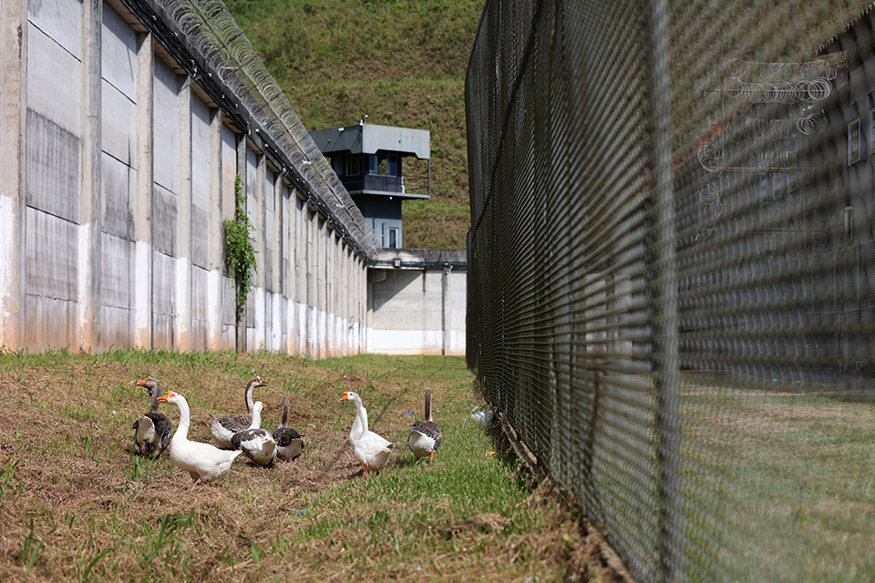Διόρθωση της ιστορίας από εκεί που ξεκίνησε-2
