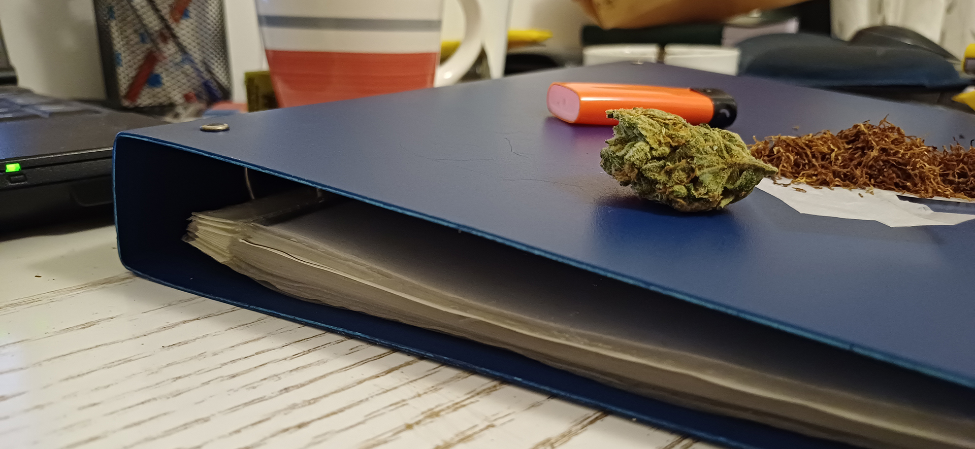 «Εχω ένα σακουλάκι με χόρτο μέσα στον χαρτοφύλακα»-1