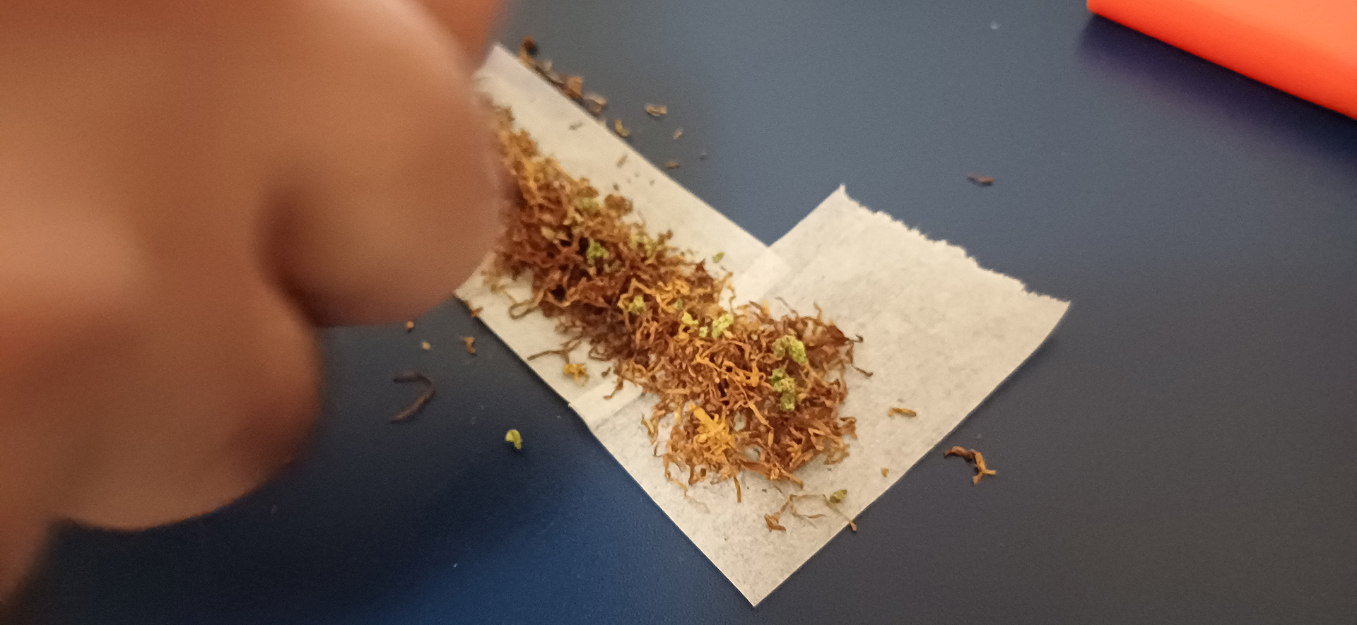 «Εχω ένα σακουλάκι με χόρτο μέσα στον χαρτοφύλακα»-3