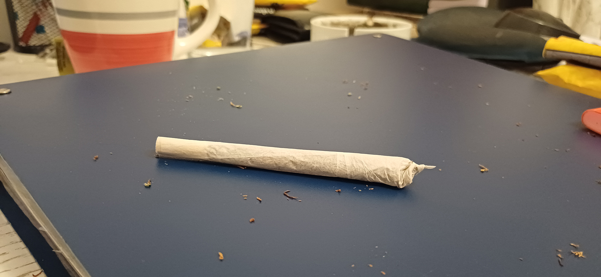 «Εχω ένα σακουλάκι με χόρτο μέσα στον χαρτοφύλακα»-4