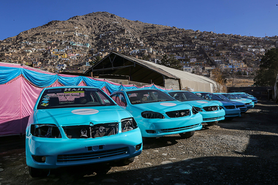 Το μυστικό ενός κουνουπιού 130 εκατομμυρίων ετών-2