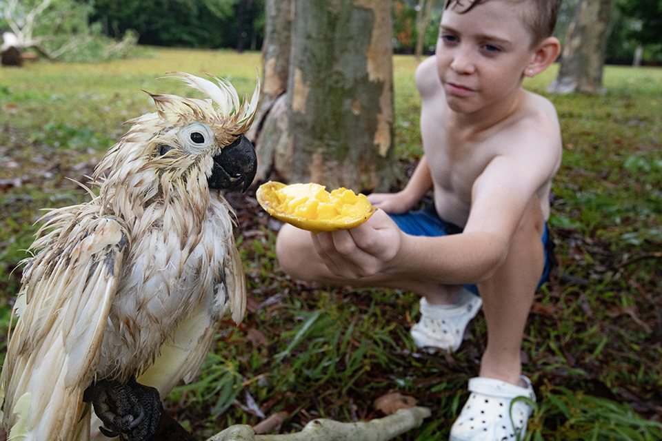 Τιμώντας την Αγία Λουκία-4