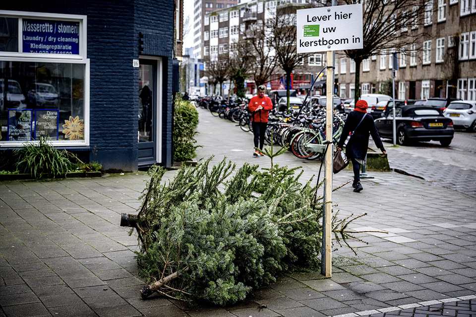 Η αδελφότητα της μαριχουάνας-1