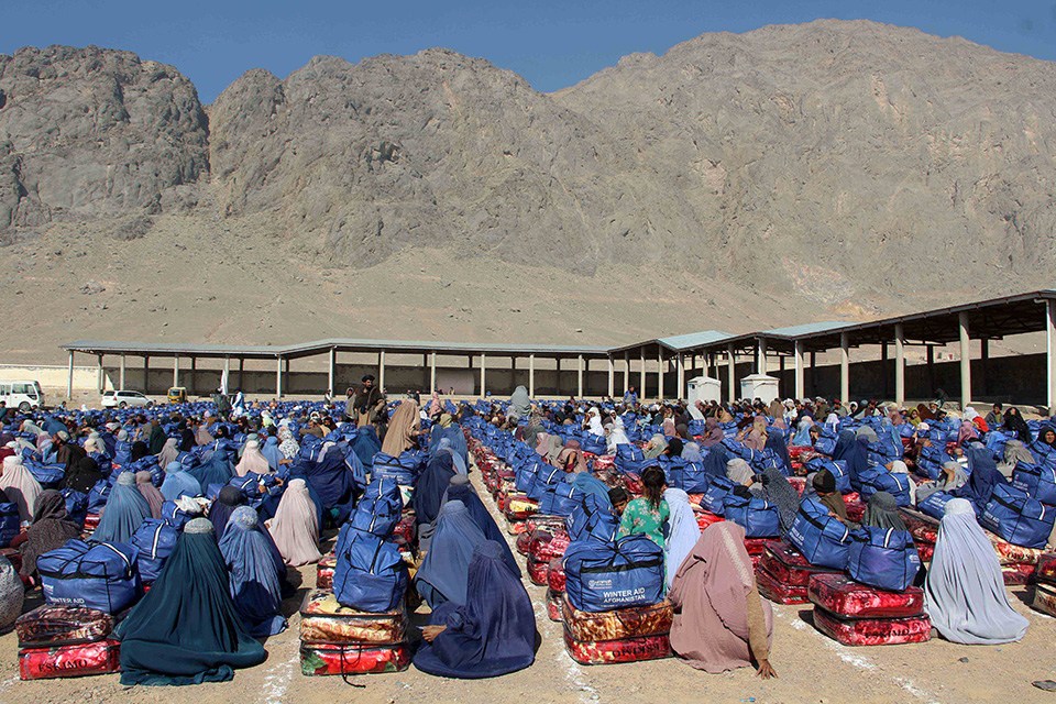 Που πήγαν τα ψάρια;-1