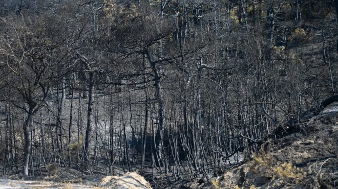 εβρος-πρώτη-συνεδρίαση-της-ειδικής-επ-562778638