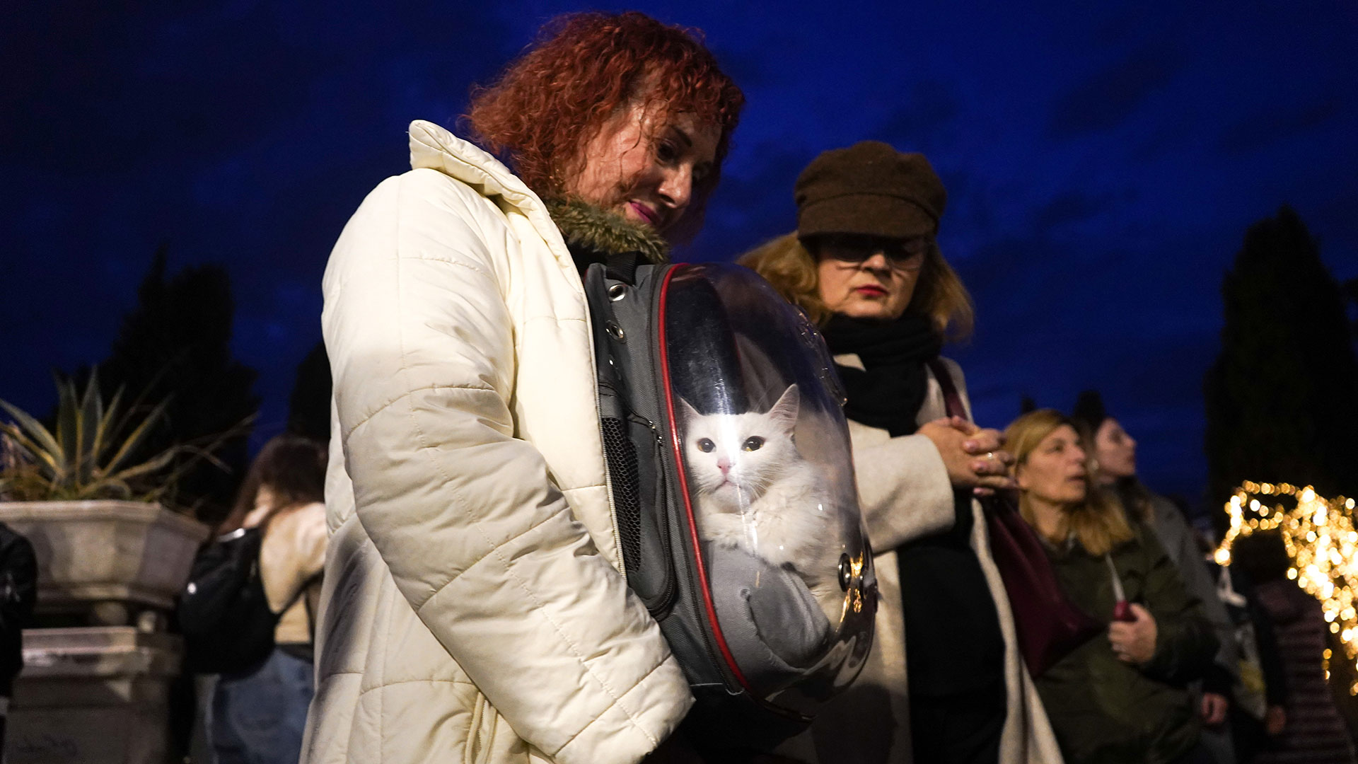 Σύνταγμα: Διαμαρτυρία για την κακοποίηση ζώων-5
