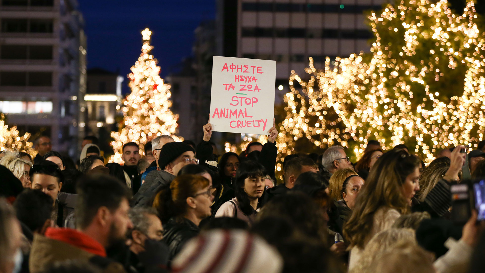 Σύνταγμα: Διαμαρτυρία για την κακοποίηση ζώων-1