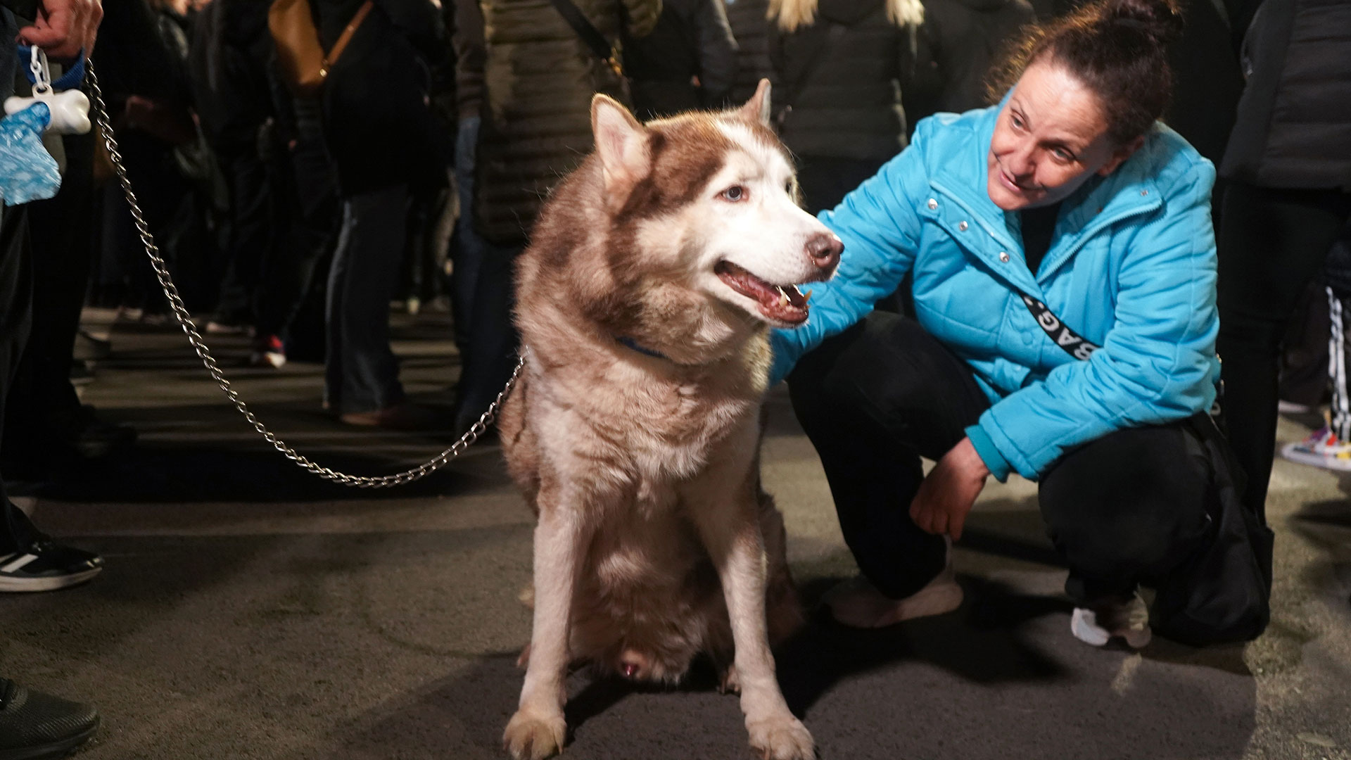 Σύνταγμα: Διαμαρτυρία για την κακοποίηση ζώων-4