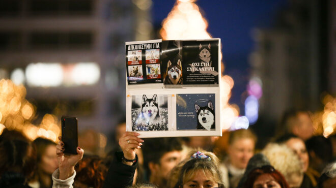 σύνταγμα-διαμαρτυρία-για-την-κακοποί-562775839