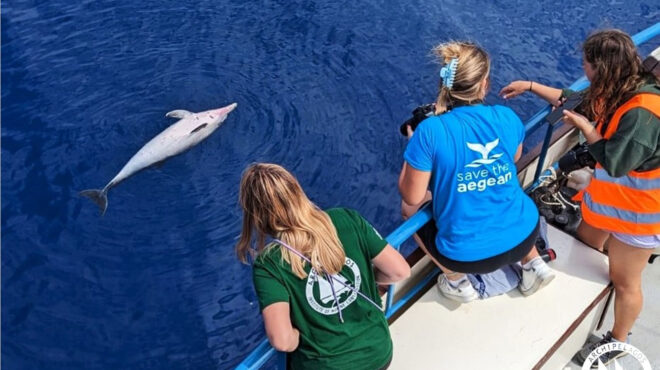 δικογραφία-για-τη-θανάτωση-τεσσάρων-δ-562768126