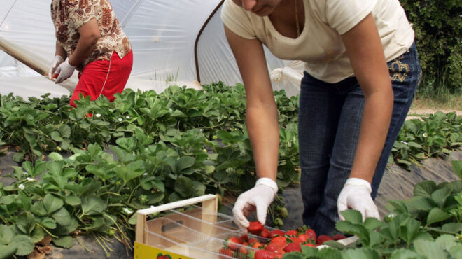 14-000-άδειες-εργασίας-σε-μετανάστες-562795705