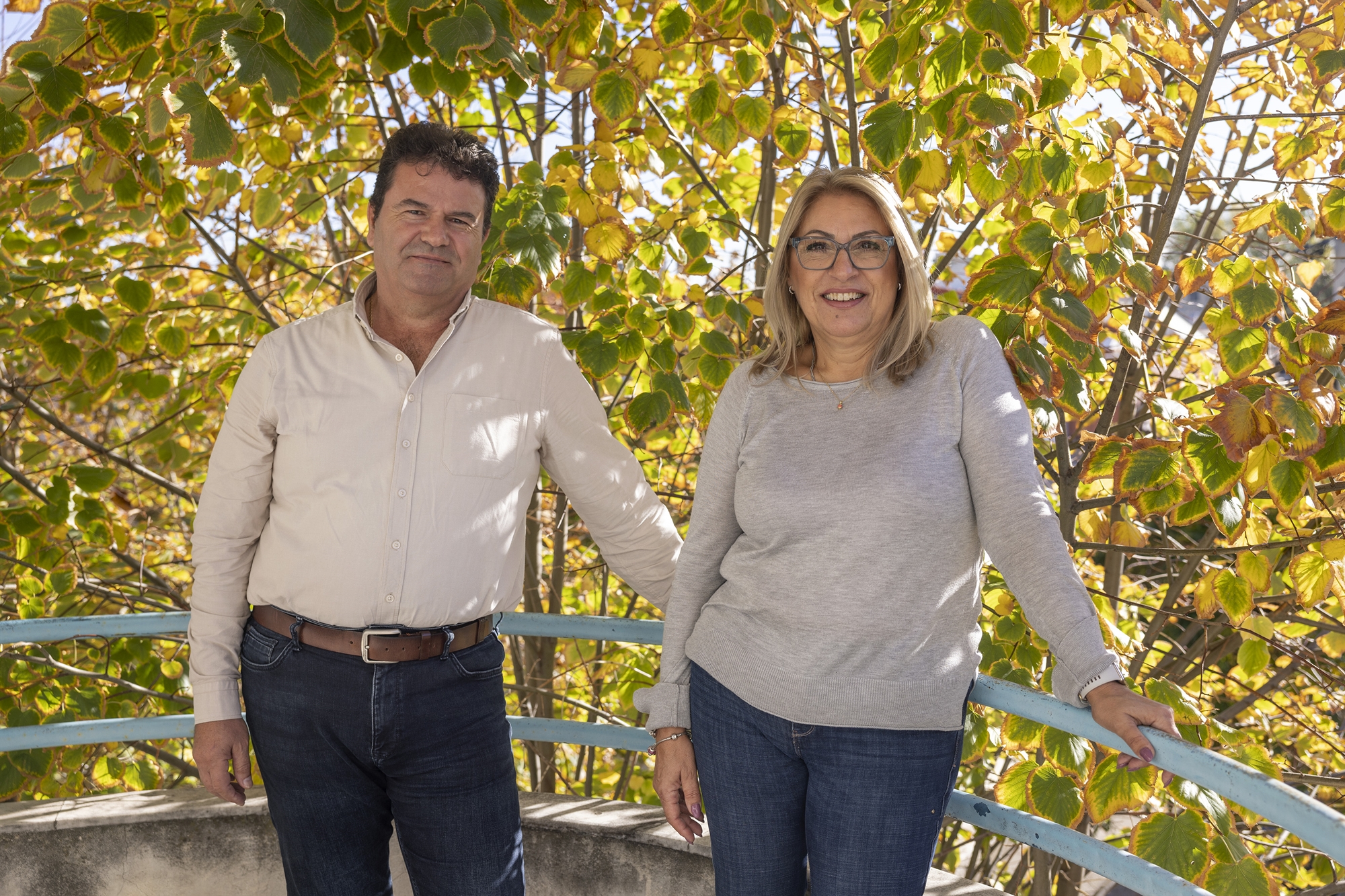 Τα πεύκα αυτά είναι τα μωρά μας-2