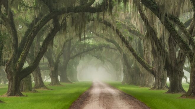 δίψα-για-εκδίκηση-και-εξιλέωση-562774474