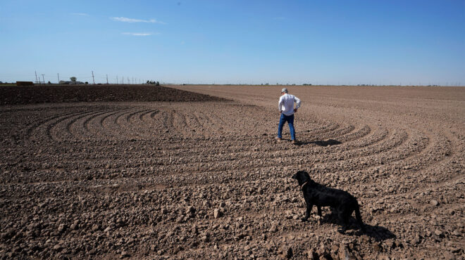 ερευνες-στις-ηπα-για-καλλιέργειες-ανθ-562767268
