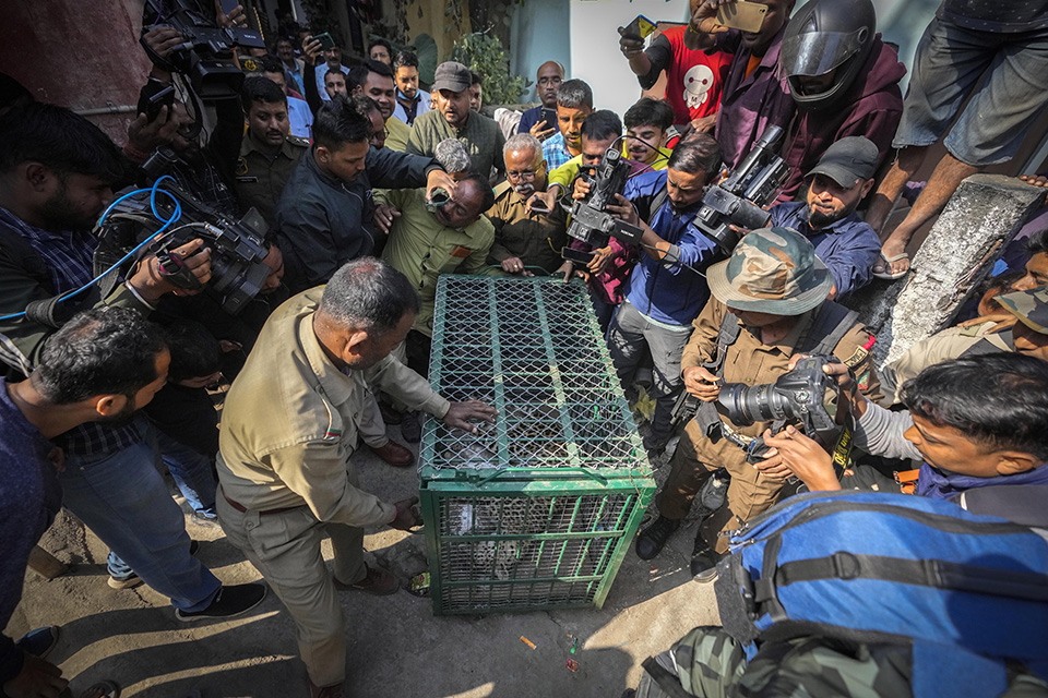Στολισμοί στο παραπέντε στη Μόσχα-1