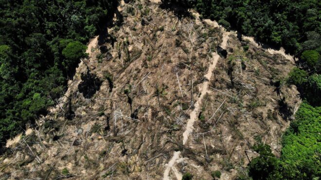 βραζιλία-εννέα-νεκροί-από-πυρκαγιά-σε-562775974