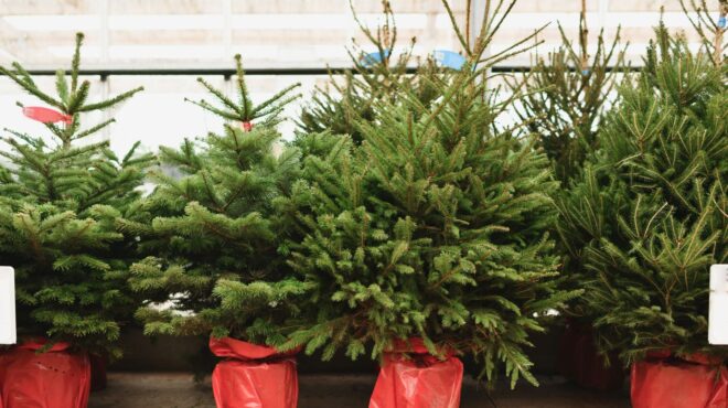 η-κρίση-πλήττει-το-χριστουγεννιάτικο-562788118