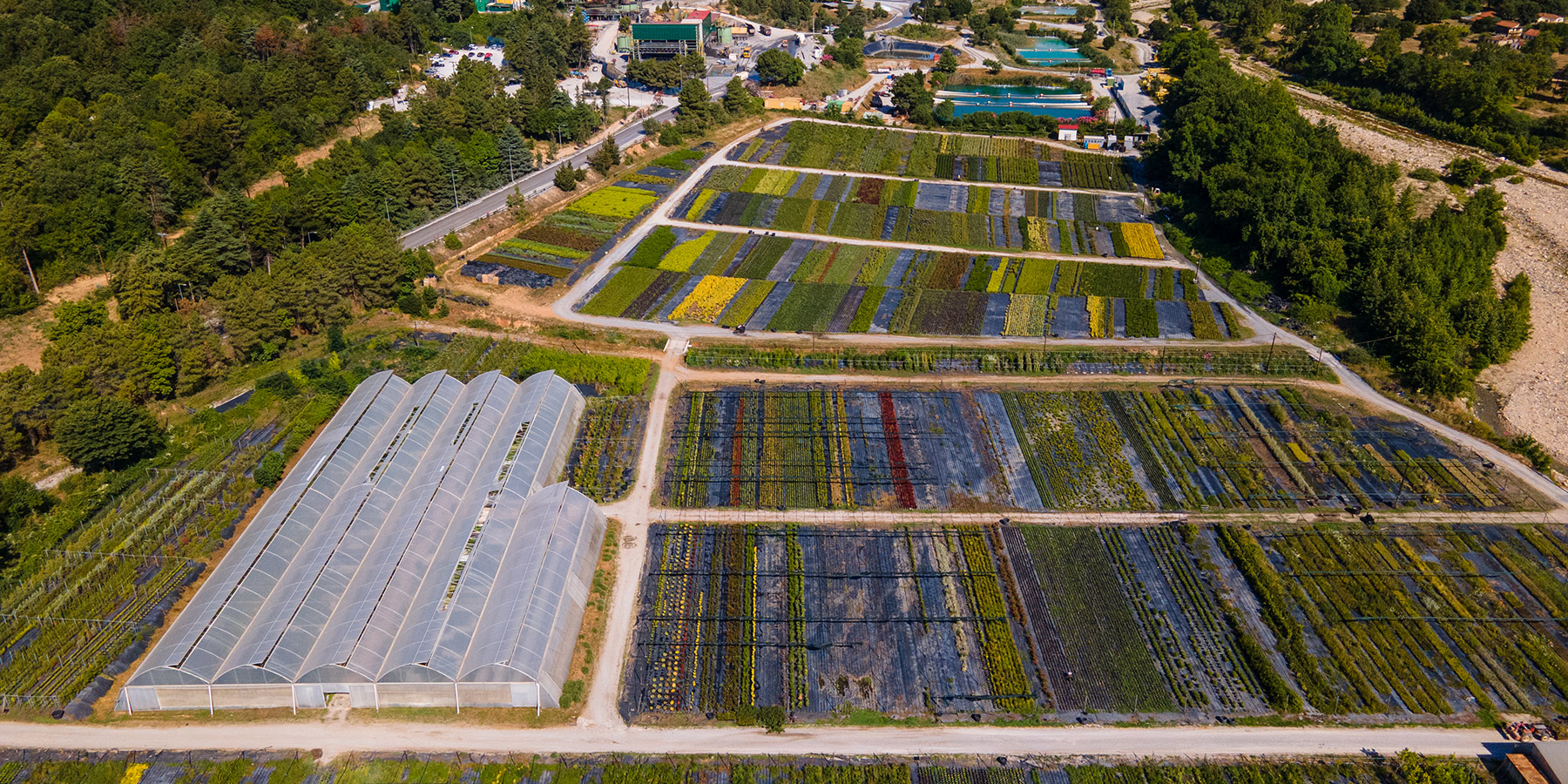 Η Ελληνικός Χρυσός πρωτοπορεί με κοινωνικές επενδύσεις στον μεταλλευτικό κλάδο-2