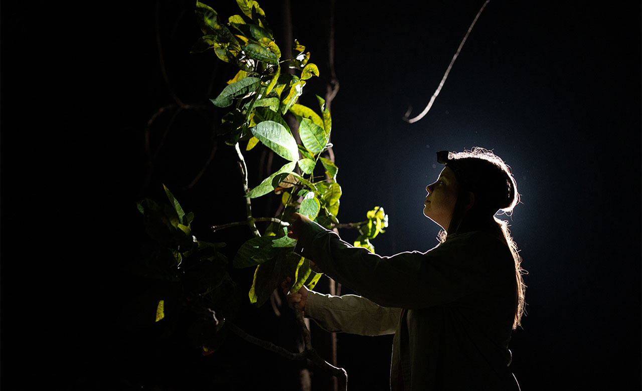 Αποστολή στον Αμαζόνιο με την Rolex και το National Geographic-4