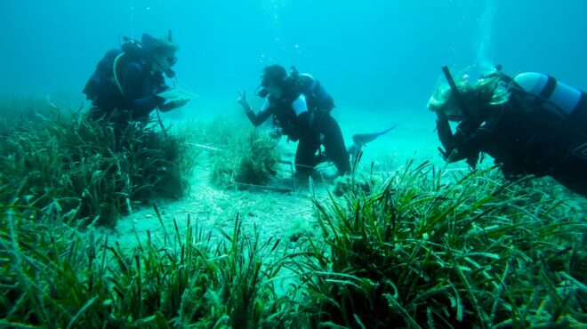 φυτεύοντας-το-δάσος-της-θάλασσας-στου-562769509