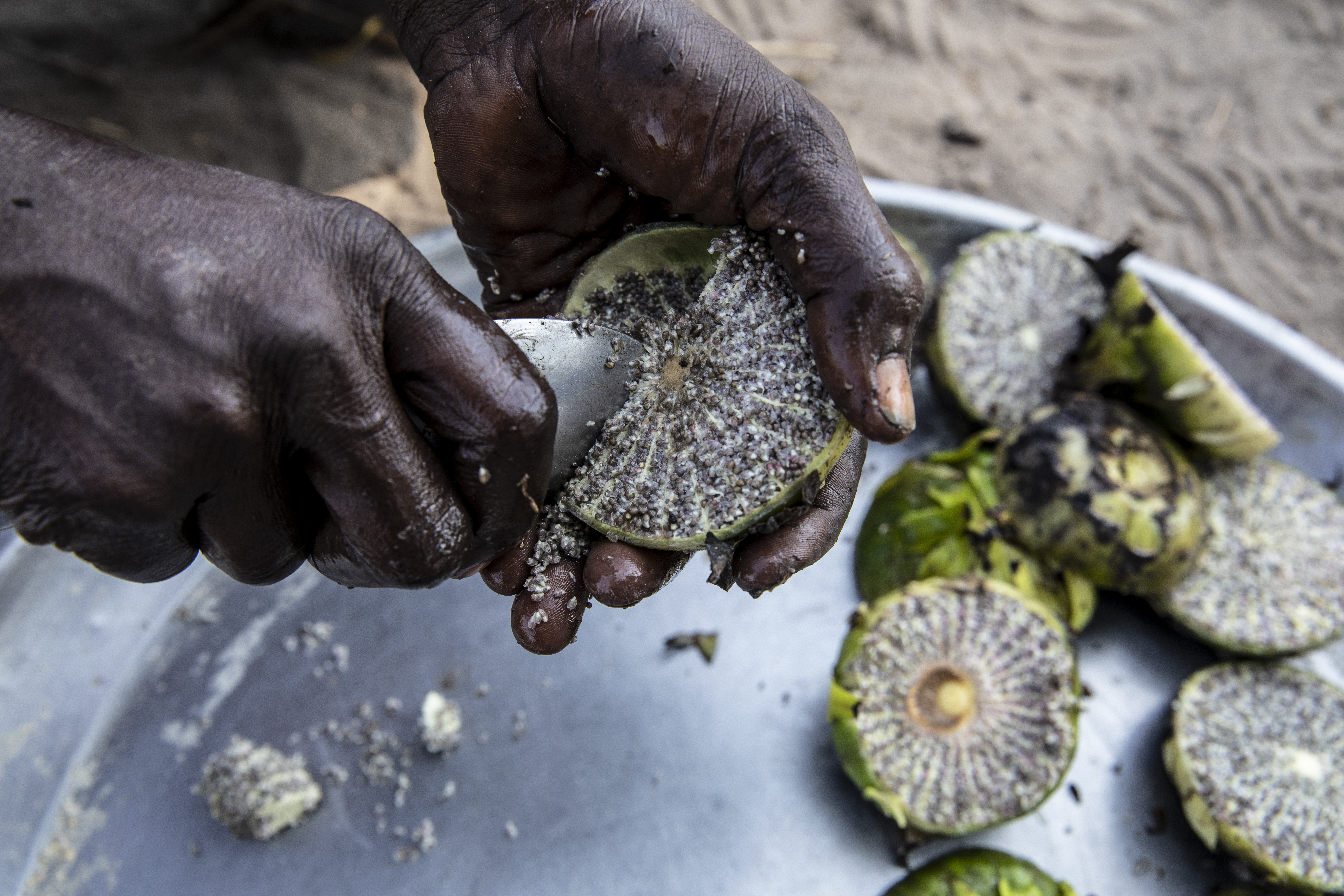 Το μαρτυρικό ταξίδι για λίγη τροφή-3