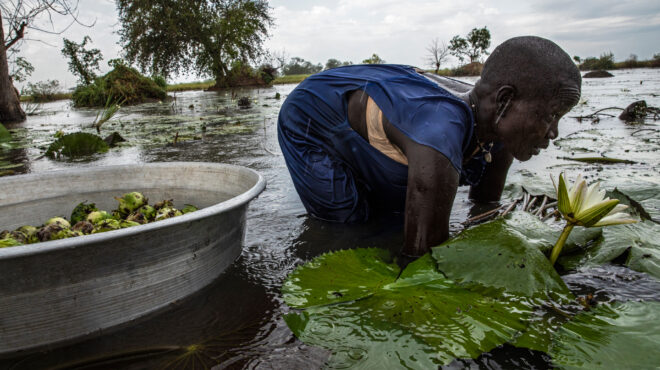 cop28-συμφώνησαν-σε-επείγουσα-δράση-562759771