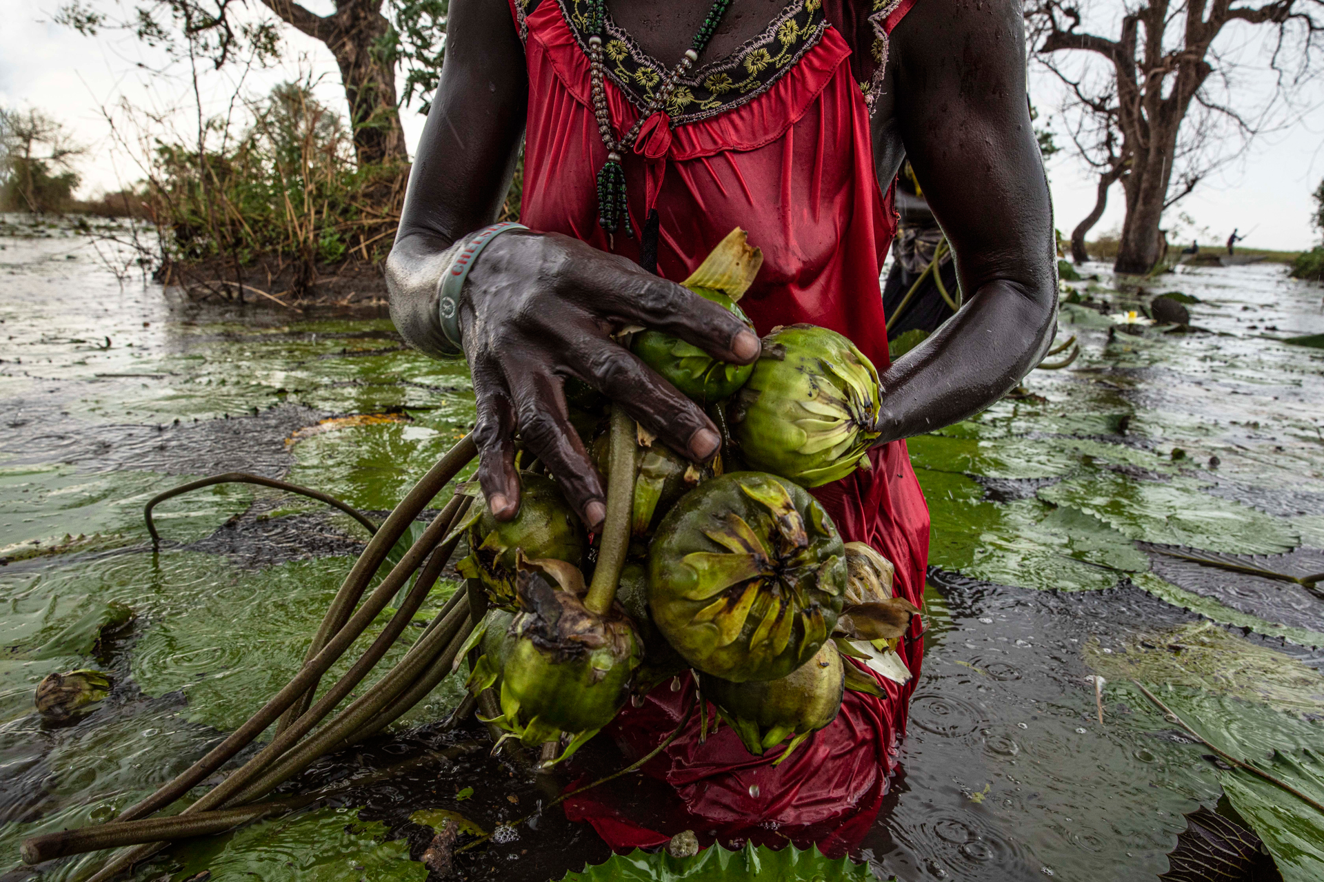 Το μαρτυρικό ταξίδι για λίγη τροφή-5