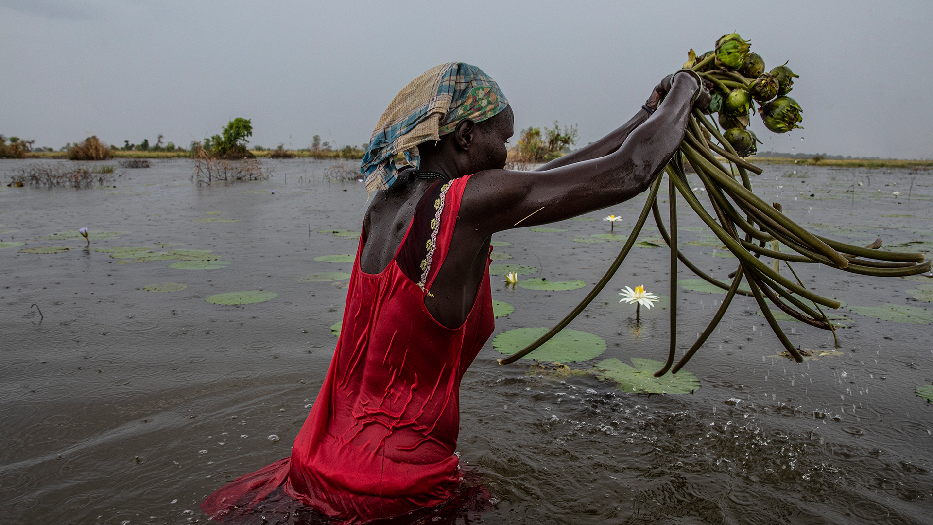 Το μαρτυρικό ταξίδι για λίγη τροφή-4