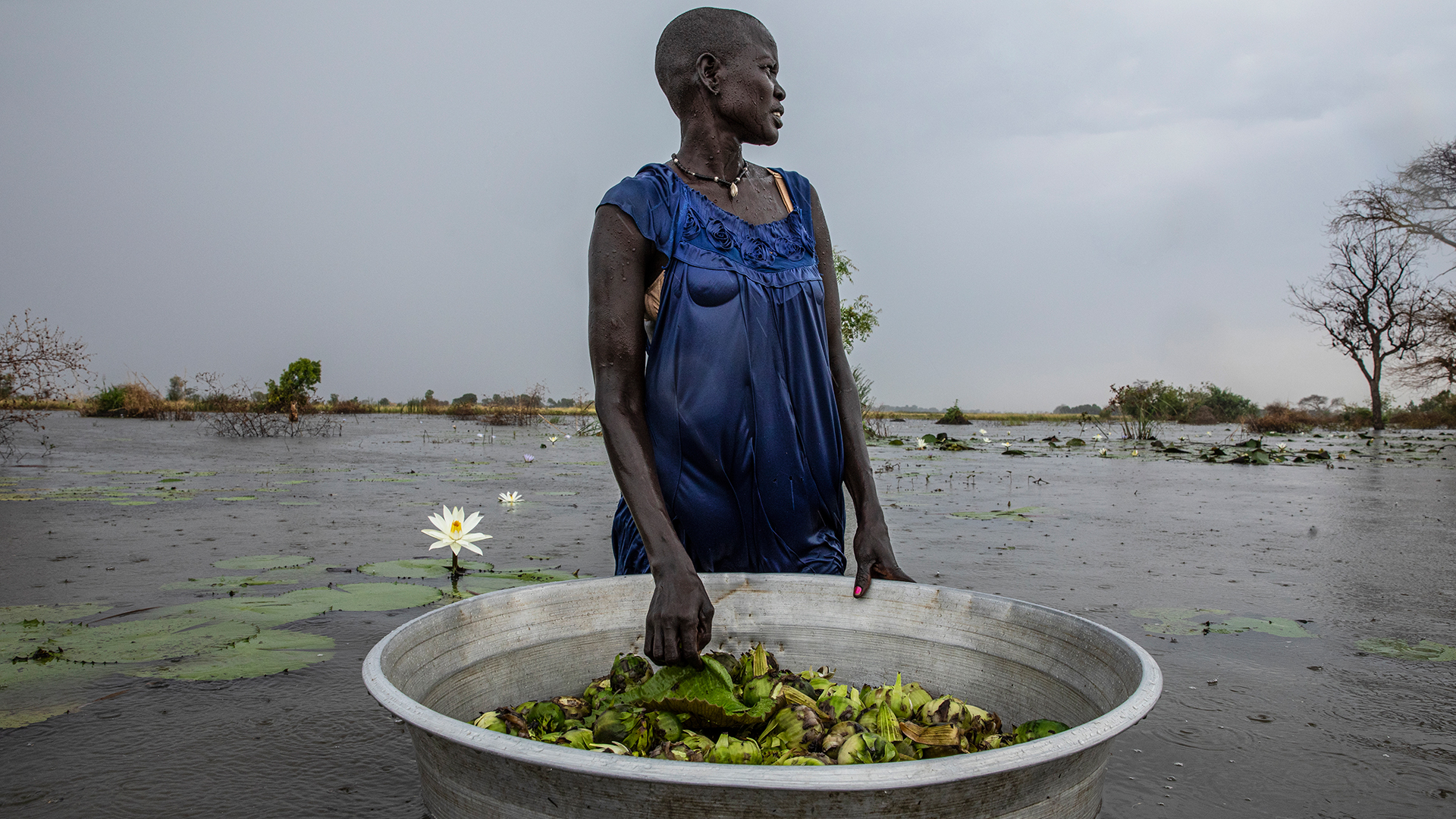 Το μαρτυρικό ταξίδι για λίγη τροφή-1