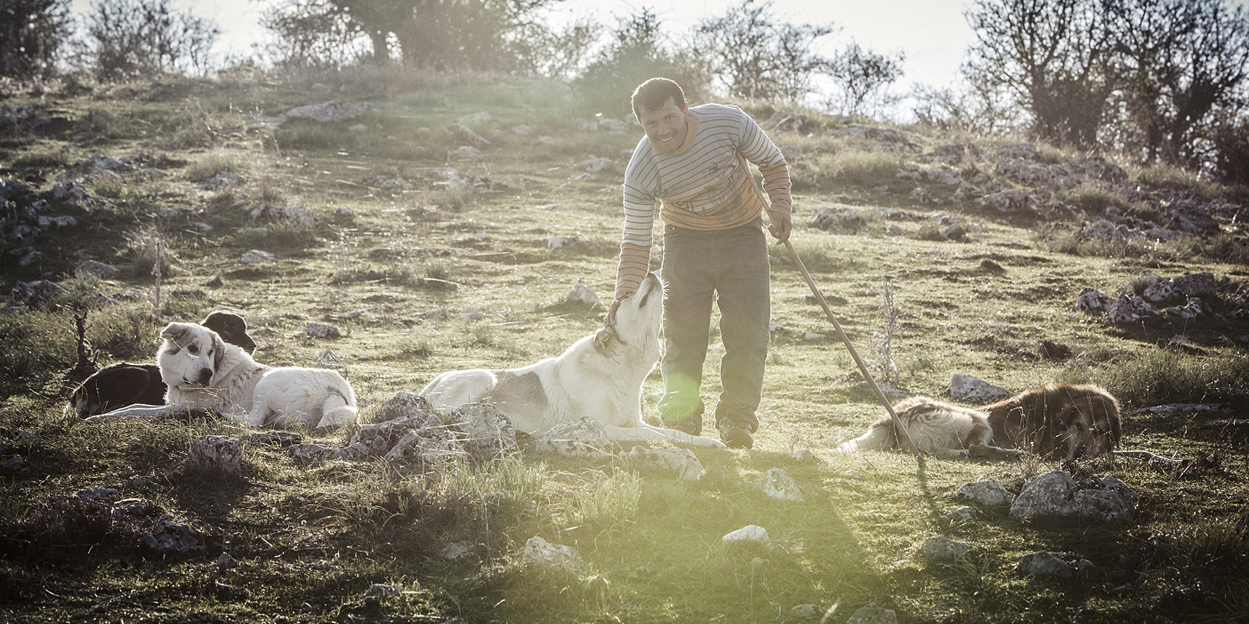 ΔΩΔΩΝΗ: 60 χρόνια αφιερωμένη στην ποιοτική γεύση-2