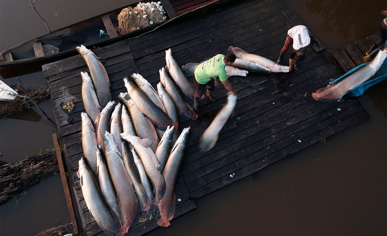 Αποστολή στον Αμαζόνιο με την Rolex και το National Geographic-6