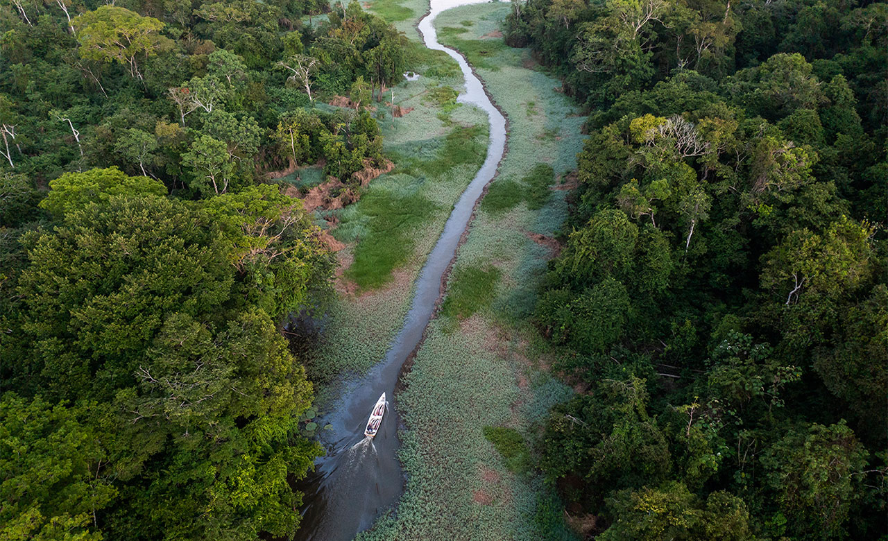 Αποστολή στον Αμαζόνιο με την Rolex και το National Geographic-8