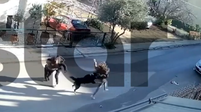 καματερό-η-στιγμή-της-επίθεσης-σκύλου-562801381