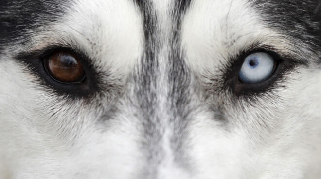 πώς-το-σοκ-για-τον-ολιβερ-έγινε-σταυρο-562774840