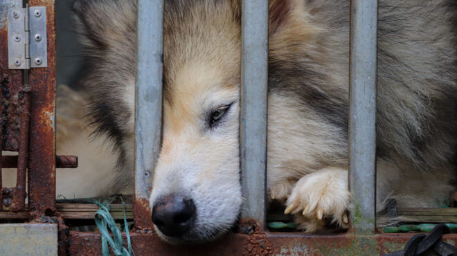 άρθρο-μυρτώς-ξανθοπούλου-στην-κ-από-562774867