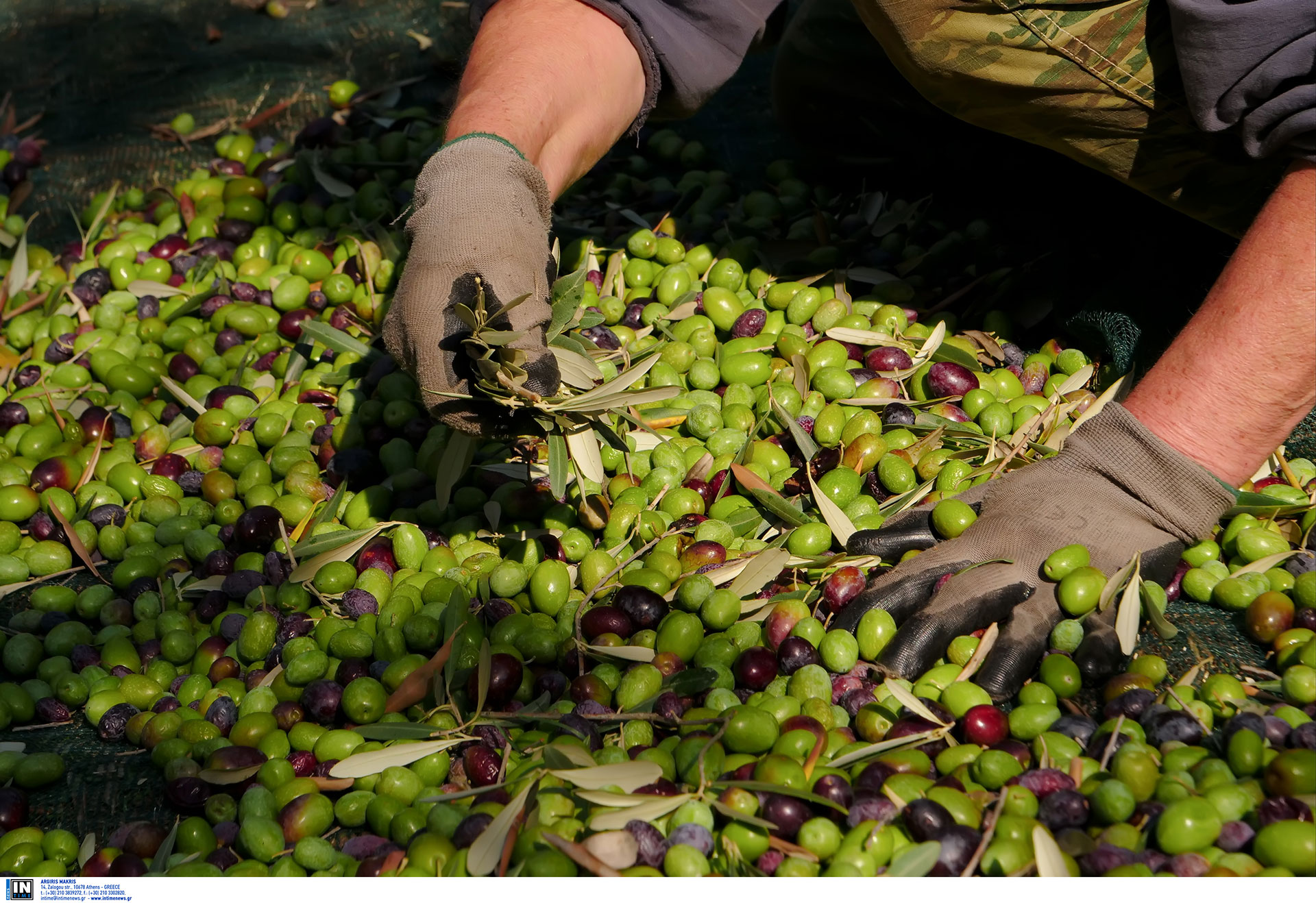 Διαβάστε στην «Καθημερινή της Κυριακής»-4