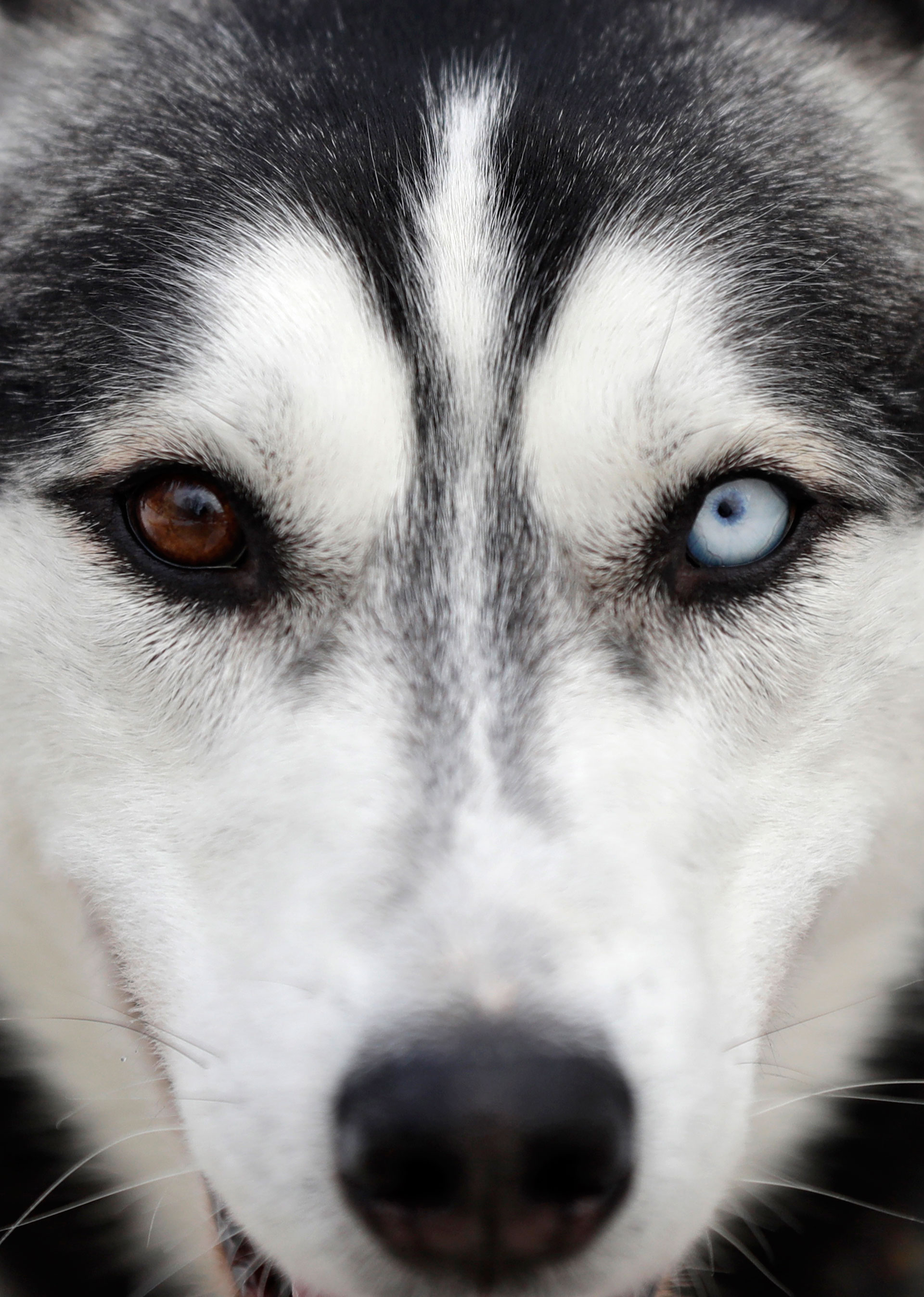 Διαβάστε στην «Καθημερινή της Κυριακής»-3