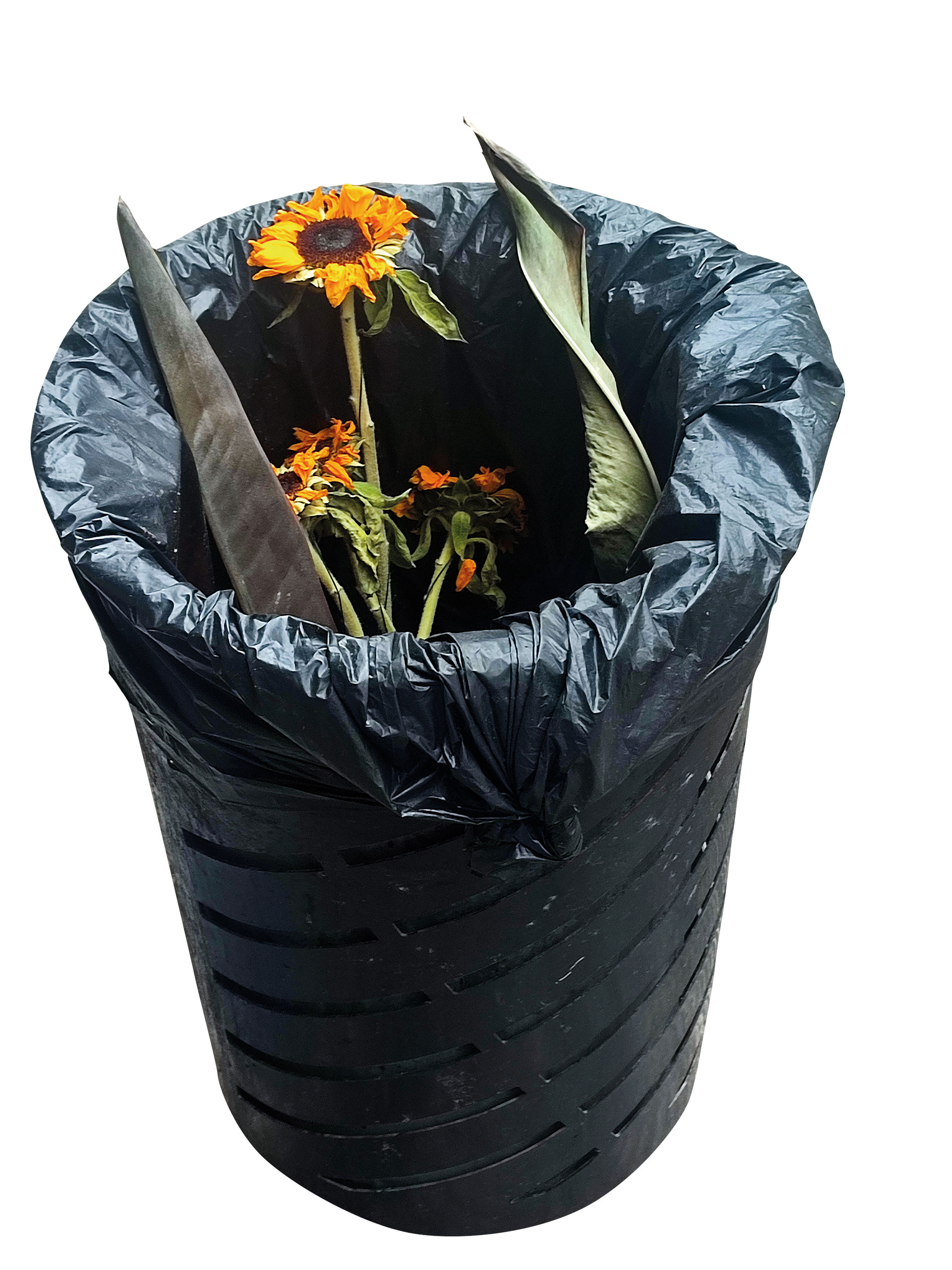 Οι παράξενες νυχτερινές συγκινήσεις της Αθήνας-2