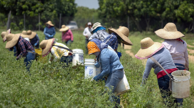 καταστροφική-η-παγκόσμια-αλυσίδα-παρ-562803751