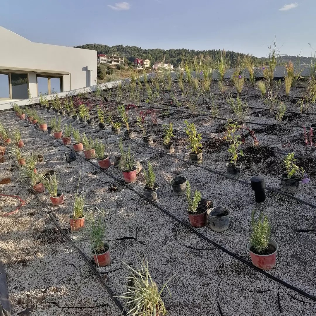 Ενα σχολείο από το μέλλον στο Αγρίνιο-2