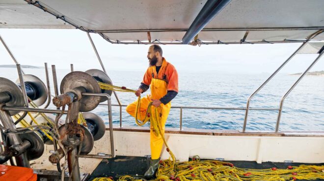 ναυμαχίες-στη-στεριά-για-τις-ιχθυοκαλ-562787680