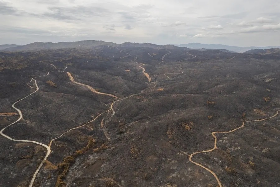 Τα ελληνικά κλικ της κλιματικής κρίσης που έκαναν τον γύρο του κόσμου-6