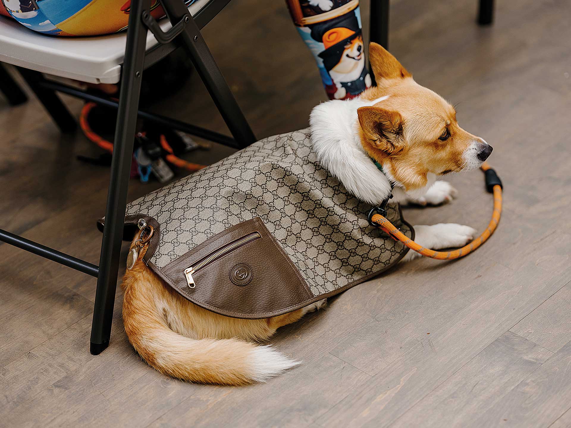 Μέσα σε μία hi-tech έπαυλη που θυμίζει φοιτητικό κοιτώνα-8