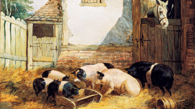 όταν-ο-χριστουγεννιάτικος-στολισμός-562770385