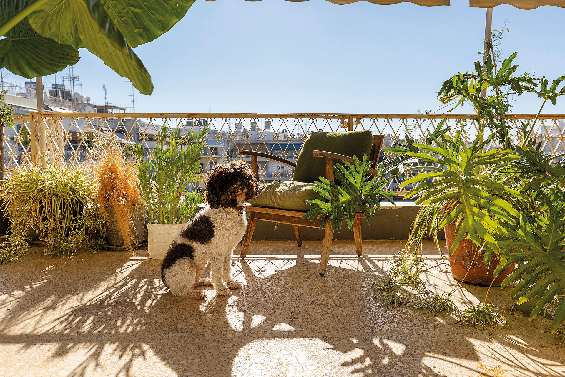 Ενα ρετρό διαμέρισμα στα Πατήσια που θυμίζει «παλιά Αθήνα»-6